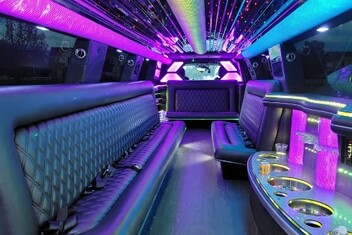 Costa Mesa Limo Interior